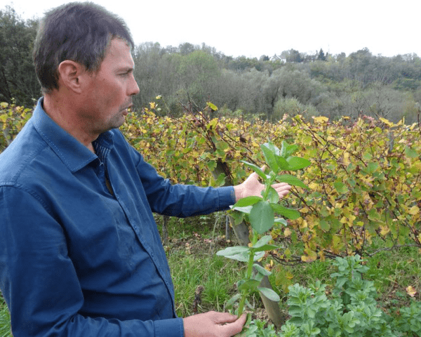 Domaine Pignier