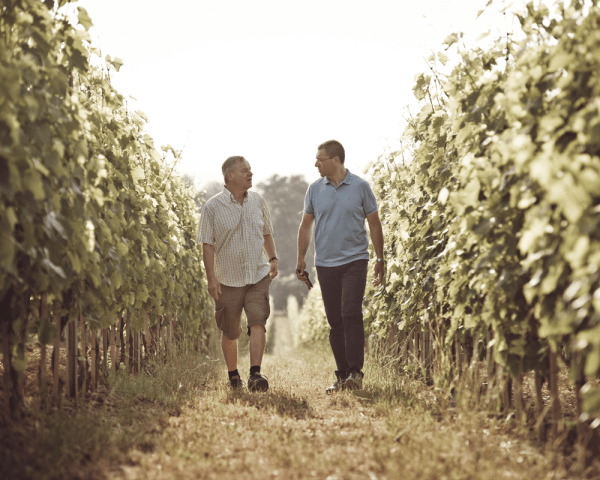 Bindella Tenuta Vallocaia