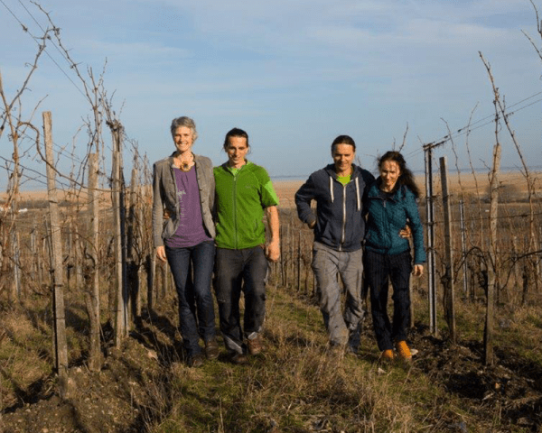 Weingut Ernst Triebaumer