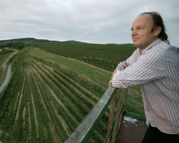 Weingut Moric
