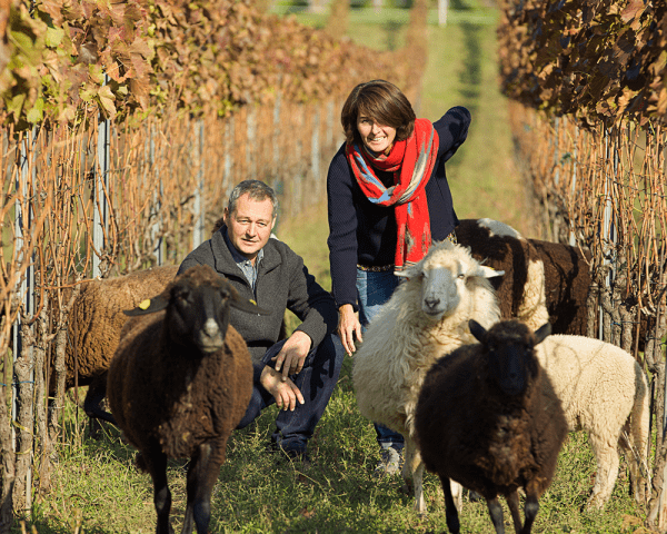 Weingut Gernot & Heike Heinrich
