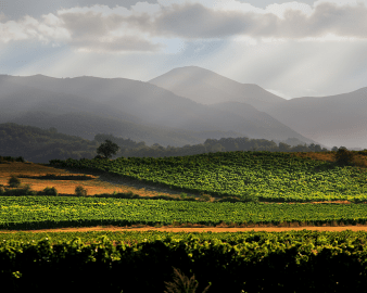 Rioja