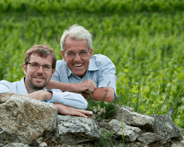 Weingut Knoll