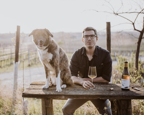 Weingut Andreas Gsellmann