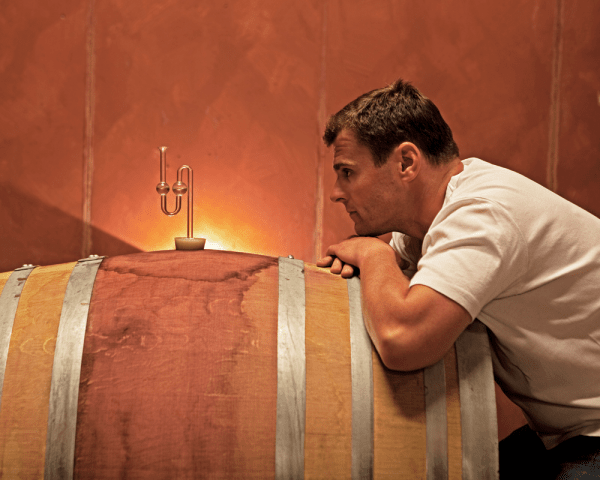 Weingut Markowitsch