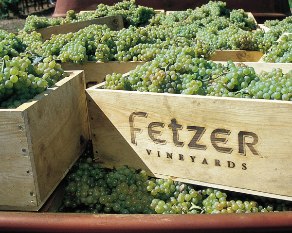 Fetzer Vineyards