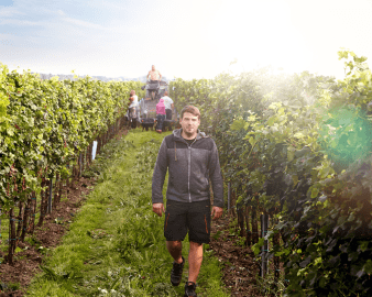 Weingut Hannes Reeh Weingut Hannes Reeh