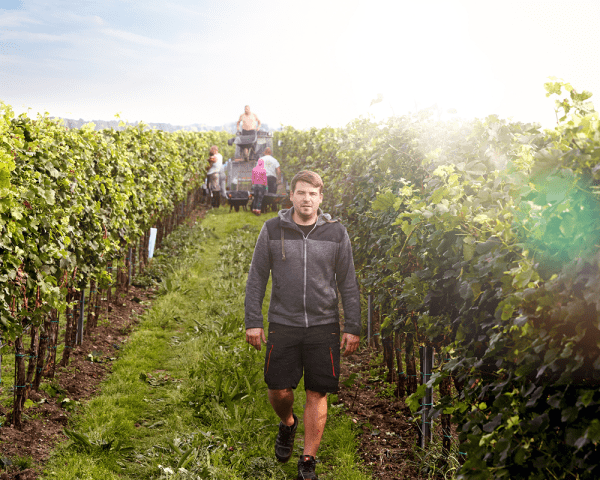 Weingut Hannes Reeh