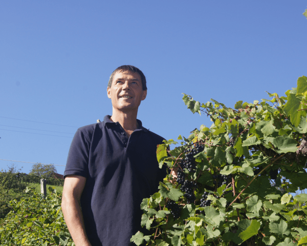 Weingut Markus Klug