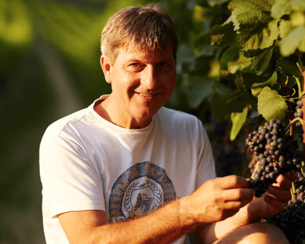 Weingut Pimpel