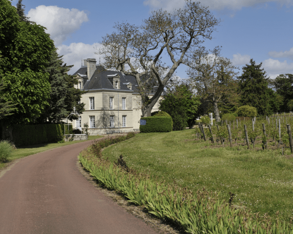 Château de Villeneuve