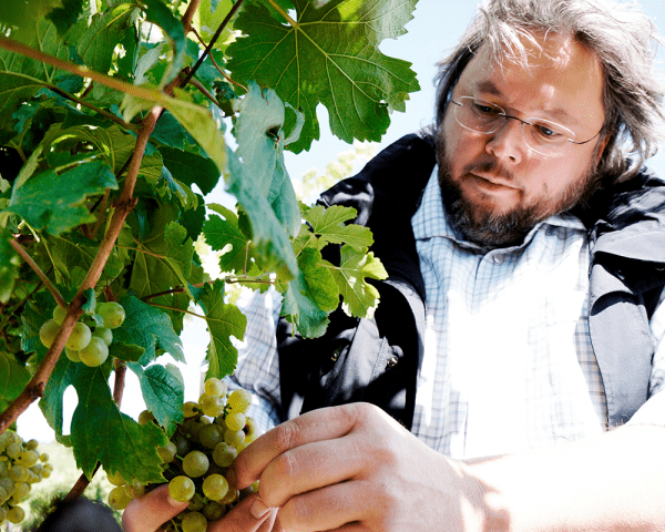 Weingut Ott