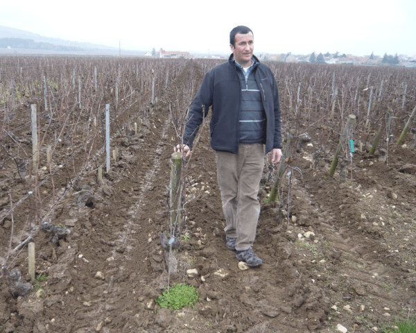 Domaine Francois Carillon