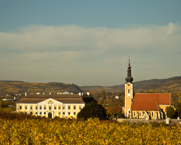 Weingut Schloss Gobelsburg