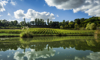 Castillon-Côtes de Bordeaux