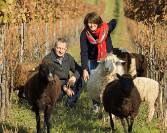 Weingut Gernot & Heike Heinrich