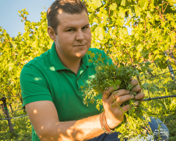 Weingut Alphart am Mühlbach